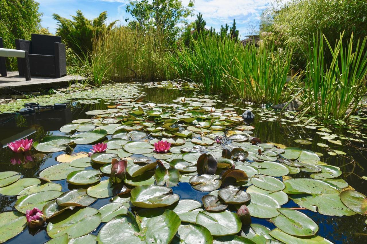 Les Nympheas 52 Bed & Breakfast Orges ภายนอก รูปภาพ